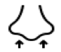葡萄柚,黃檸檬,鳳梨,堅果